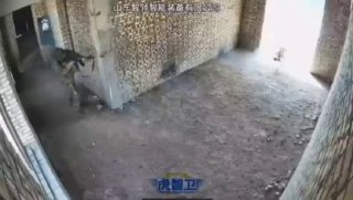 Китай публикует кадры применения боевых дронов в жилой застройке