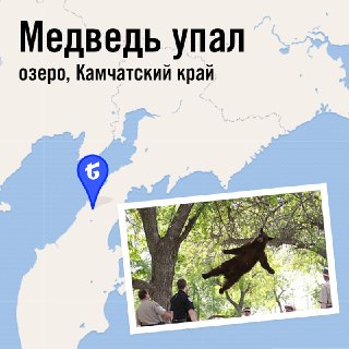 Иллюстрация 9