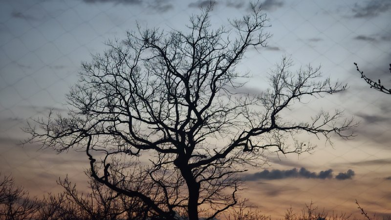 Ожидание на обочине: взгляд из зоны конфликта