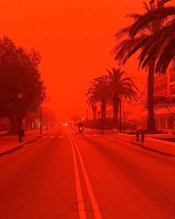 Иллюстрация 6