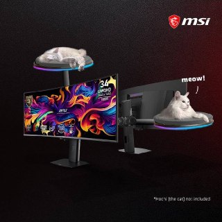 MSI представила концепт лежанки для кота с RGB-подсветкой